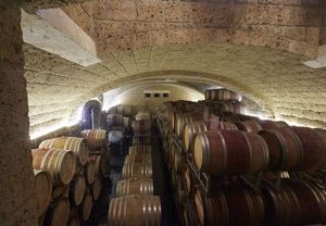 INART - Azienda viti-vinicola Maison Anselmet